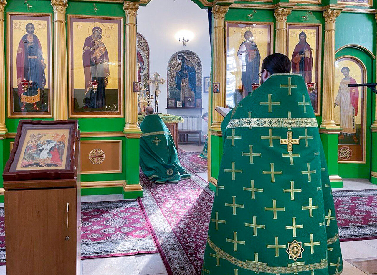 photo_2026-04-01_09-24-02